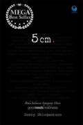 5 cm