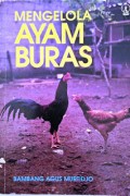 Mengelola Ayam Buras